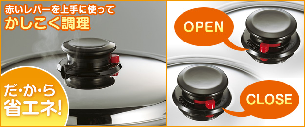 スチームリッド エフ